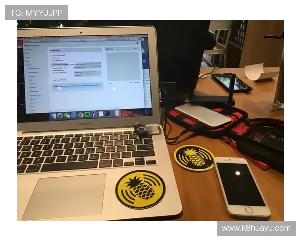 保证账号安全的PA视讯登录安全建议与防护措施