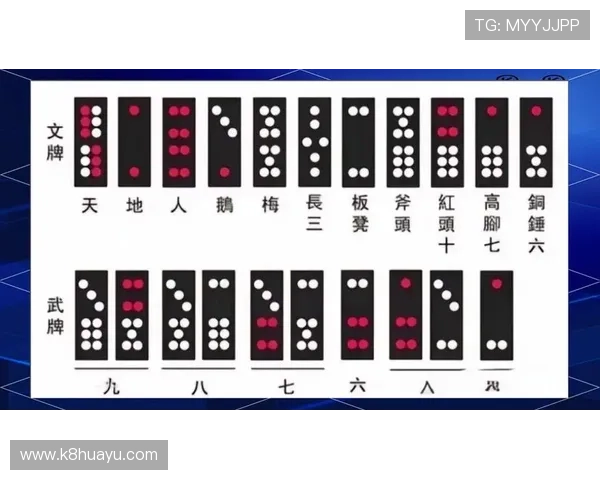 提升抢庄牌九游戏体验的实用技巧与注意事项